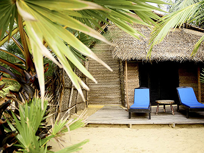 Beach and Wildlife Tours in Sri Lanka