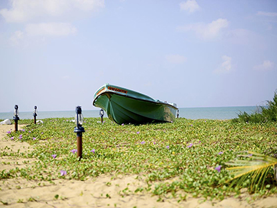 Beach and Wildlife Tours in Sri Lanka