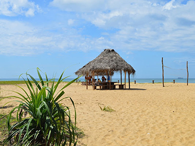 Beach and Wildlife Tours in Sri Lanka