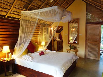 Beach and Wildlife Tours in Sri Lanka