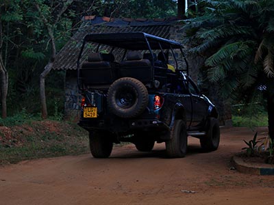 Beach and Wildlife Tours in Sri Lanka