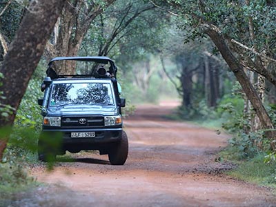 Beach and Wildlife Tours in Sri Lanka