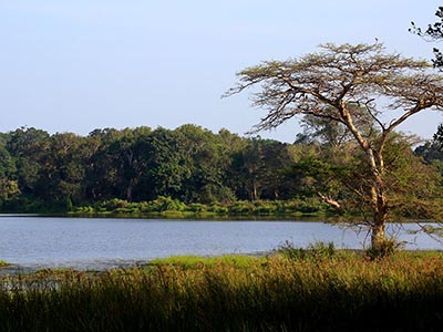 Beach and Wildlife Tours in Sri Lanka