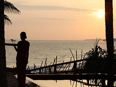 Sri Lanka Beach and Safari Tours