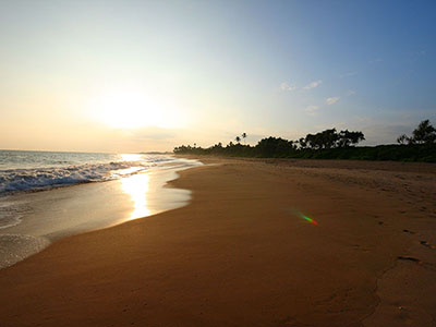 Sri Lanka Beach and Safari Tours