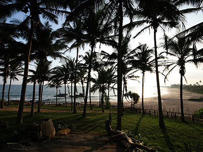 Sri Lanka Beach and Safari Tours