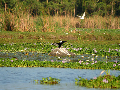 Sri Lanka Beach and Safari Tours