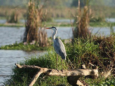Beach and Wildlife Tours in Sri Lanka