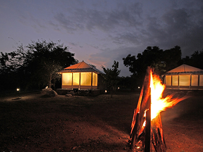 Beach and Wildlife Tours in Sri Lanka