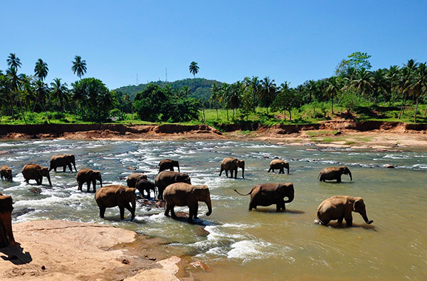Eco & Off the Beaten Adventure Tours in Sri Lanka