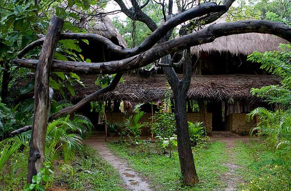 Eco & Off the Beaten Adventure Tours in Sri Lanka