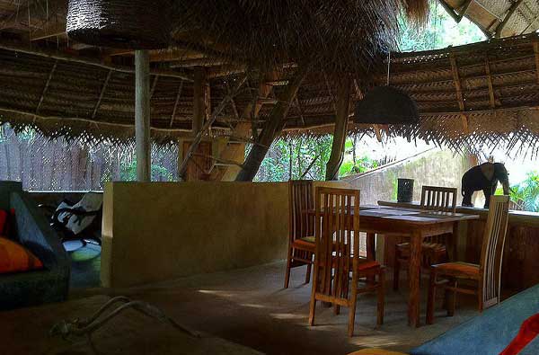 Eco & Off the Beaten Adventure Tours in Sri Lanka