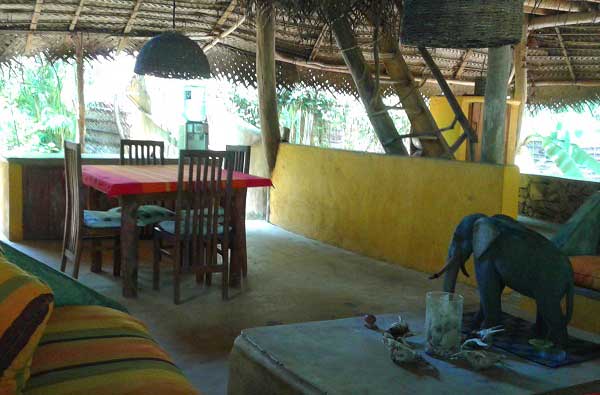 Eco & Off the Beaten Adventure Tours in Sri Lanka