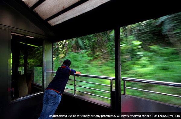 Eco & Off the Beaten Adventure Tours in Sri Lanka