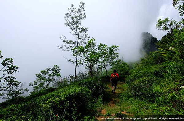 Eco & Off the Beaten Adventure Tours in Sri Lanka