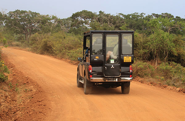 Eco & Off the Beaten Adventure Tours in Sri Lanka