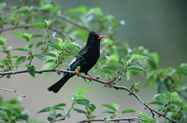 Eco & Off the Beaten Adventure Tours in Sri Lanka