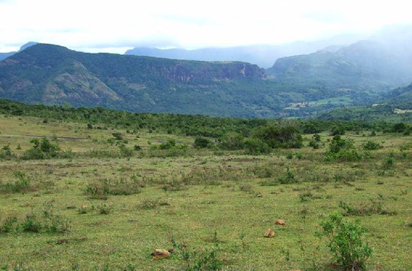 Eco & Off the Beaten Adventure Tours in Sri Lanka