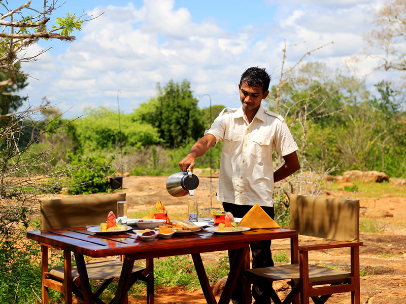 Sri Lanka Leopard Trails Safari