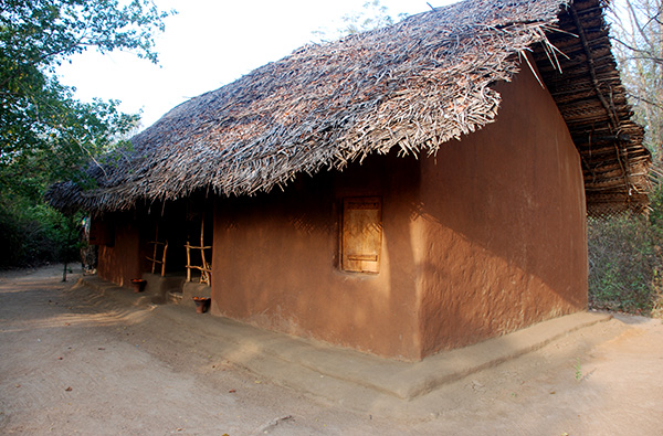 Authentic Tours in Sri Lanka