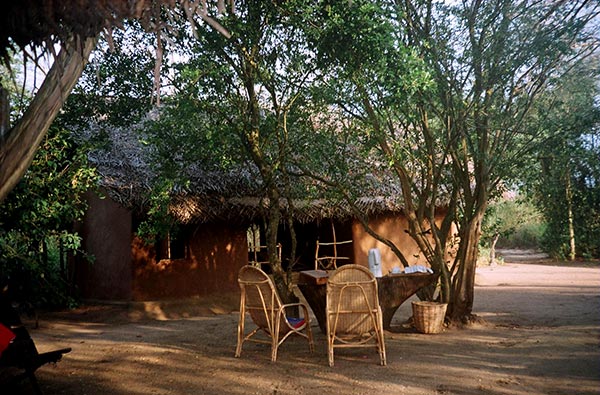 Authentic Tours in Sri Lanka