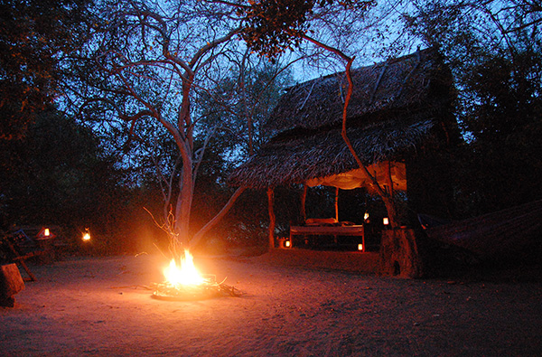 Authentic Tours in Sri Lanka