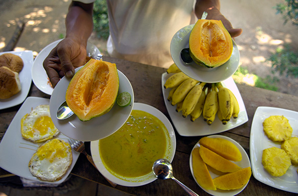 Authentic Tours in Sri Lanka