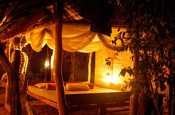 Authentic Tours in Sri Lanka