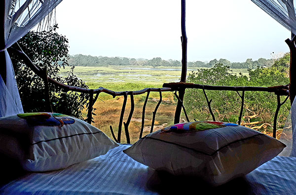 Authentic Tours in Sri Lanka