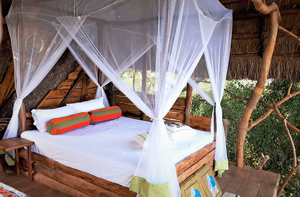Authentic Tours in Sri Lanka