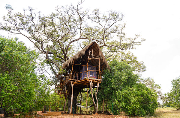 Authentic Tours in Sri Lanka