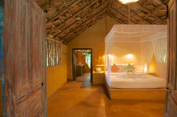 Authentic Tours in Sri Lanka