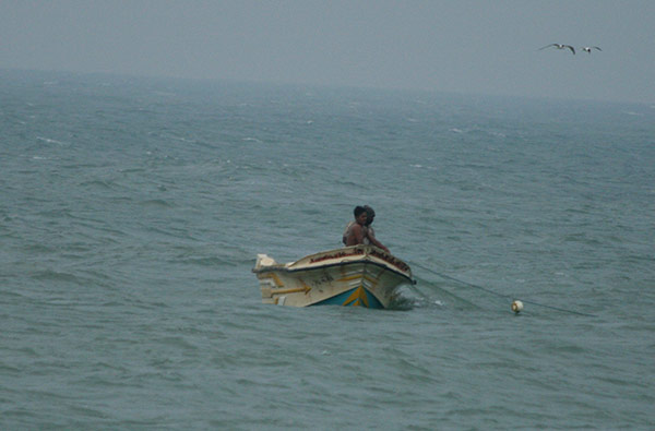 Authentic Tours in Sri Lanka