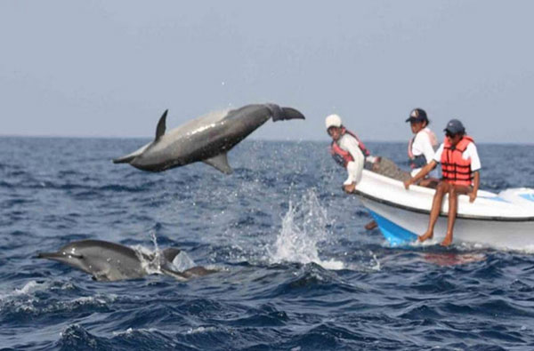 Authentic Tours in Sri Lanka