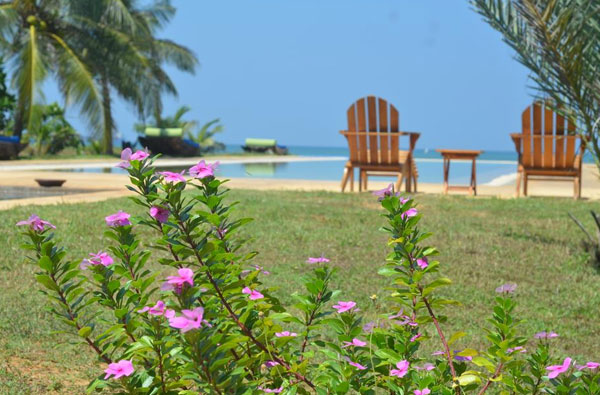Authentic Tours in Sri Lanka