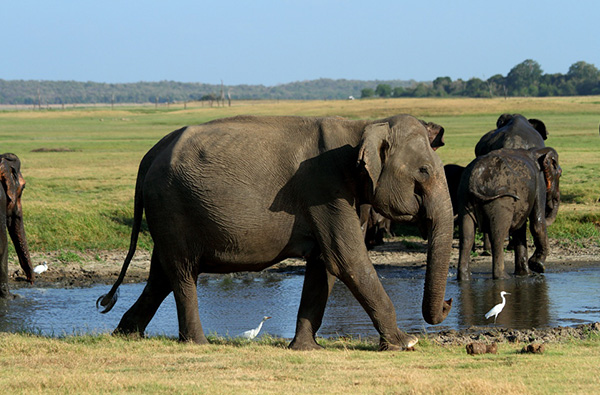 Trekking and Adventure Trails of Sri Lanka