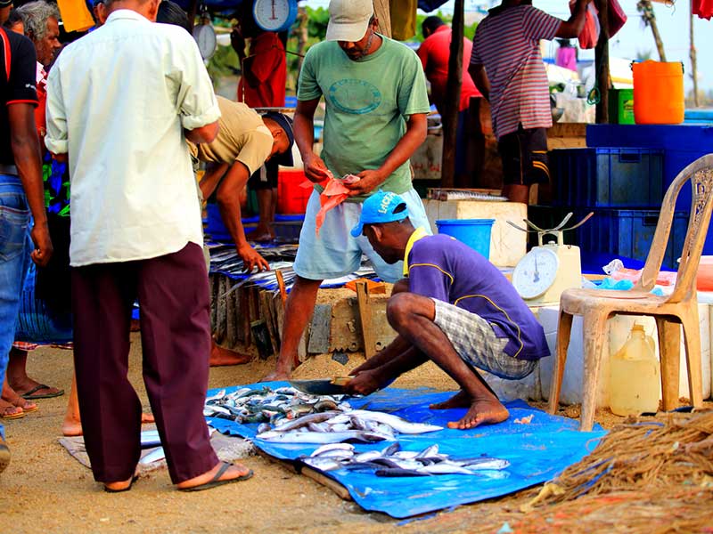 Galle Beach
