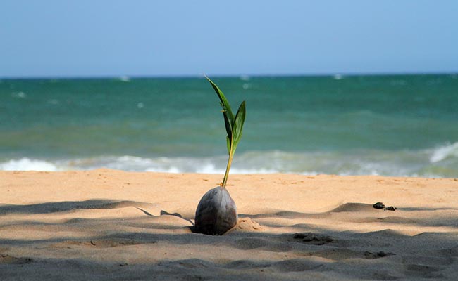 Ranna Beach