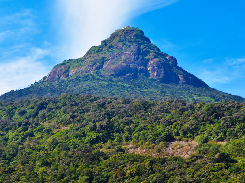 Cycling Tours in Sri Lanka