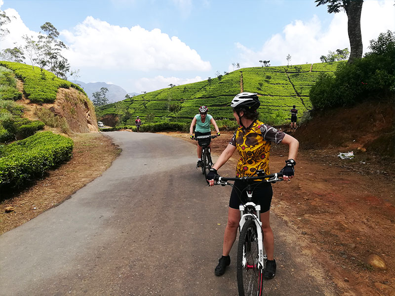 Cycling Tours in Sri Lanka