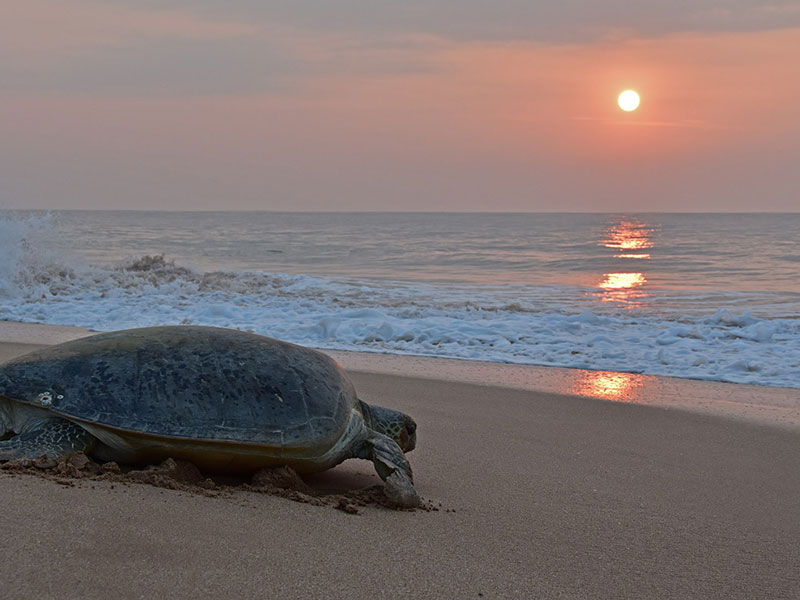 Cycling Tours in Sri Lanka