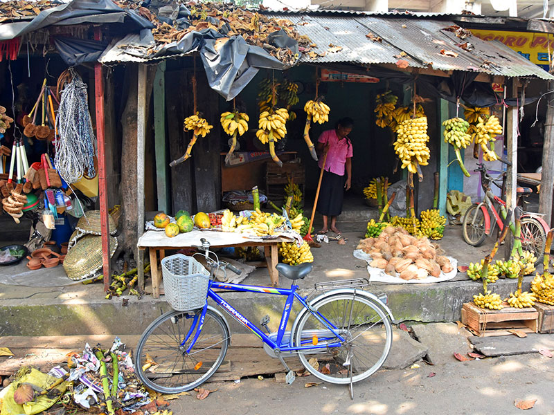 Cycling Tours in Sri Lanka