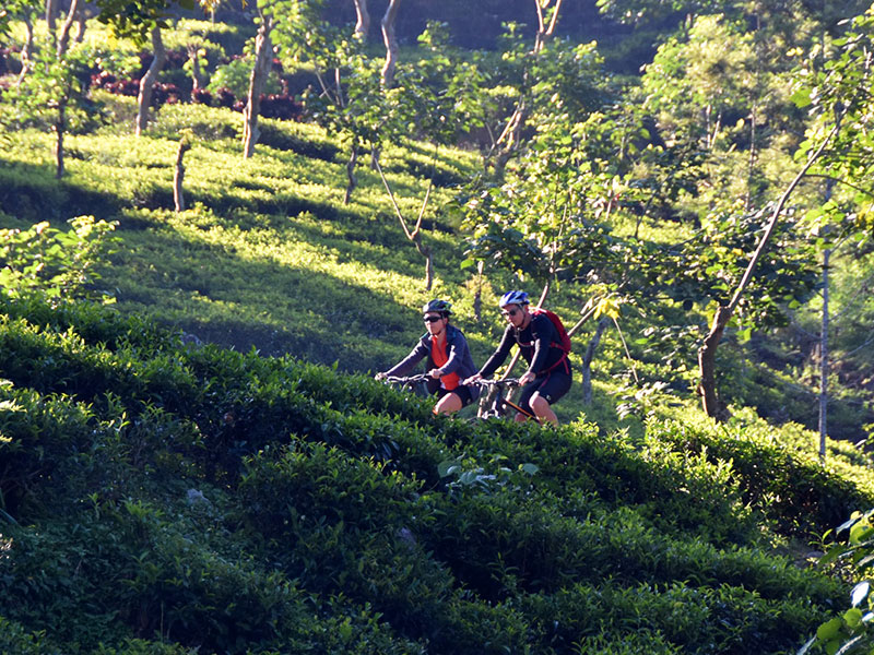Cycling Tours in Sri Lanka