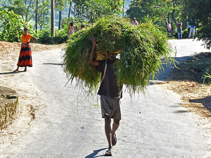 Cycling Tours in Sri Lanka