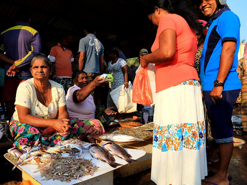 Cycling Tours in Sri Lanka