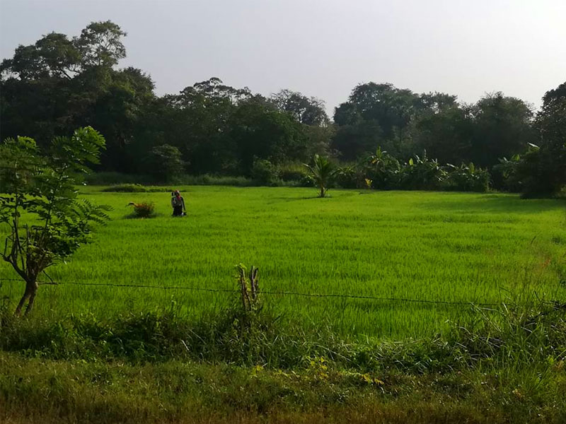 Cycling Tours in Sri Lanka