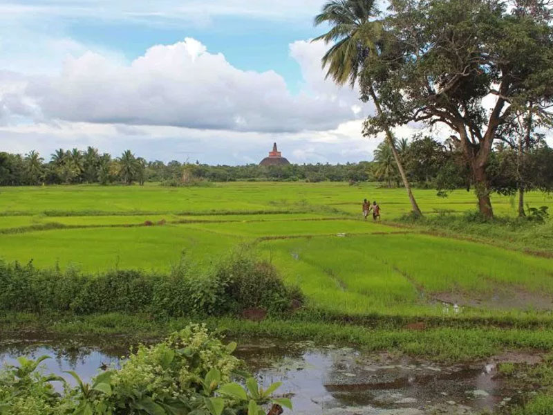 Cycling Tours in Sri Lanka