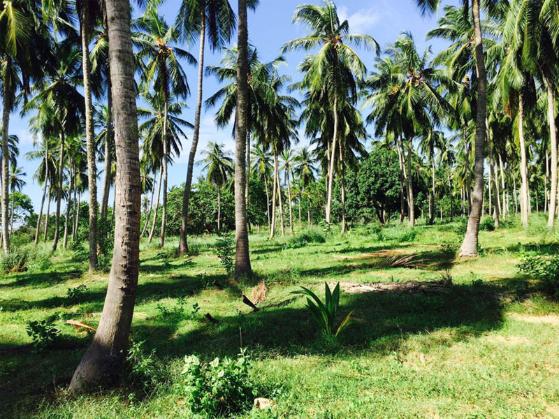 Cycling Tours in Sri Lanka