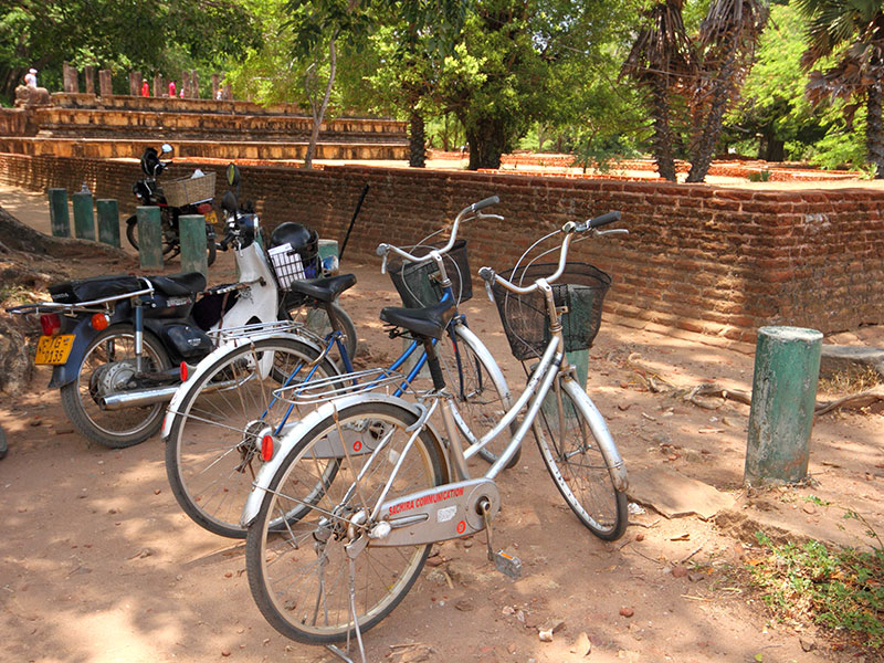 Cycling Tours in Sri Lanka
