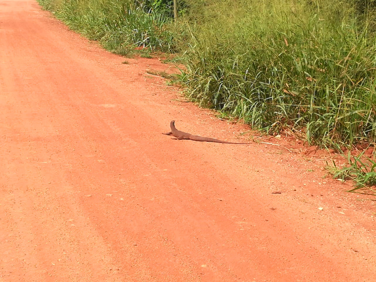 Cycling Tours in Sri Lanka